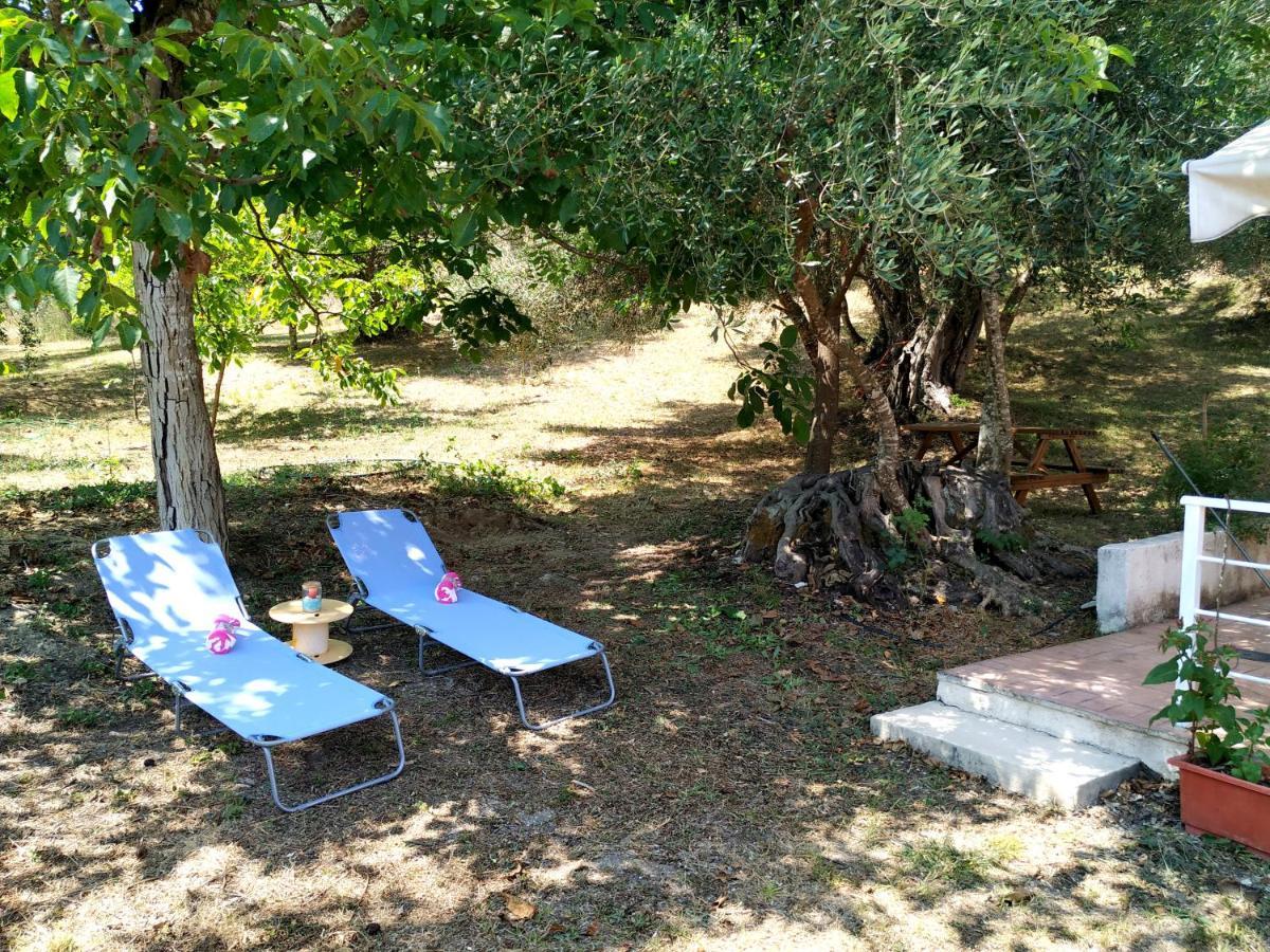 Family Holiday Apartment With Garden & Bbq Velonádes 外观 照片