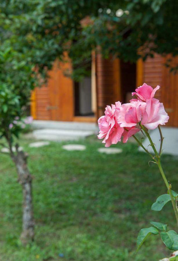Family Holiday Apartment With Garden & Bbq Velonádes 外观 照片
